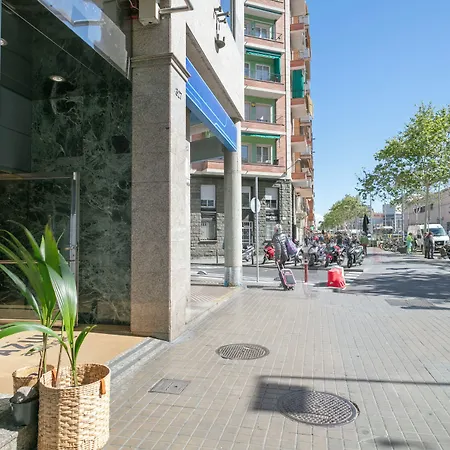 Acta Azul Barselona